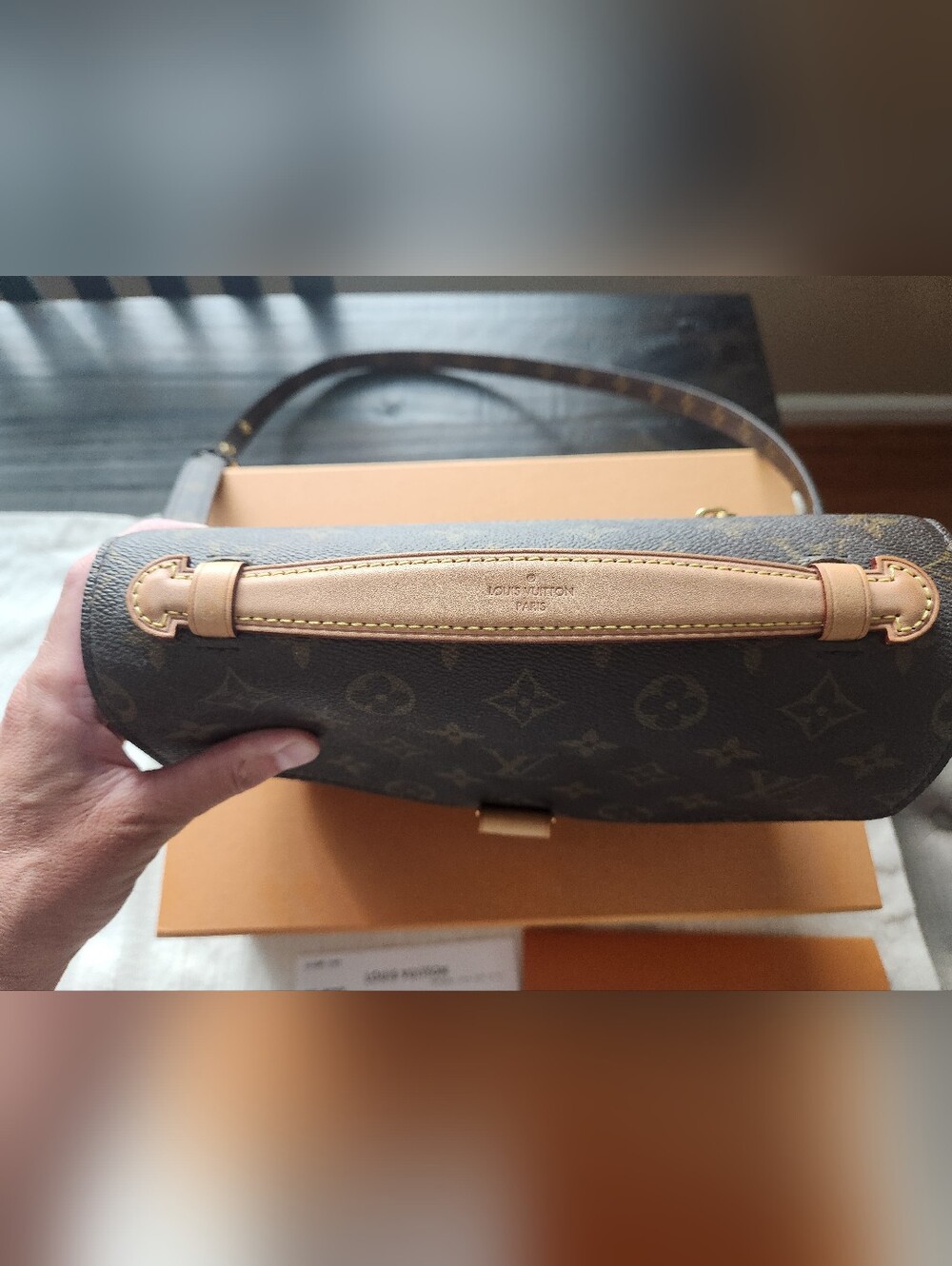 Louis Vuitton Monogram Canvas Pochette Metis in Brown with Gold Hardware - Picture 3 of 17